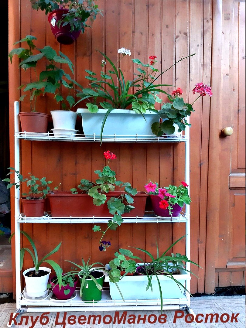 разборный стеллаж на подоконник для растений и рассады. Фото N10