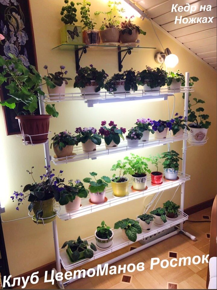 разборный стеллаж на подоконник для растений и рассады. Фото N6